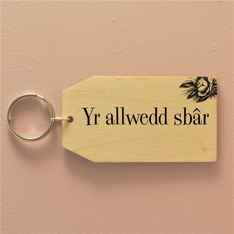 Yr allwedd sbar (Birch) -  The Spare Key